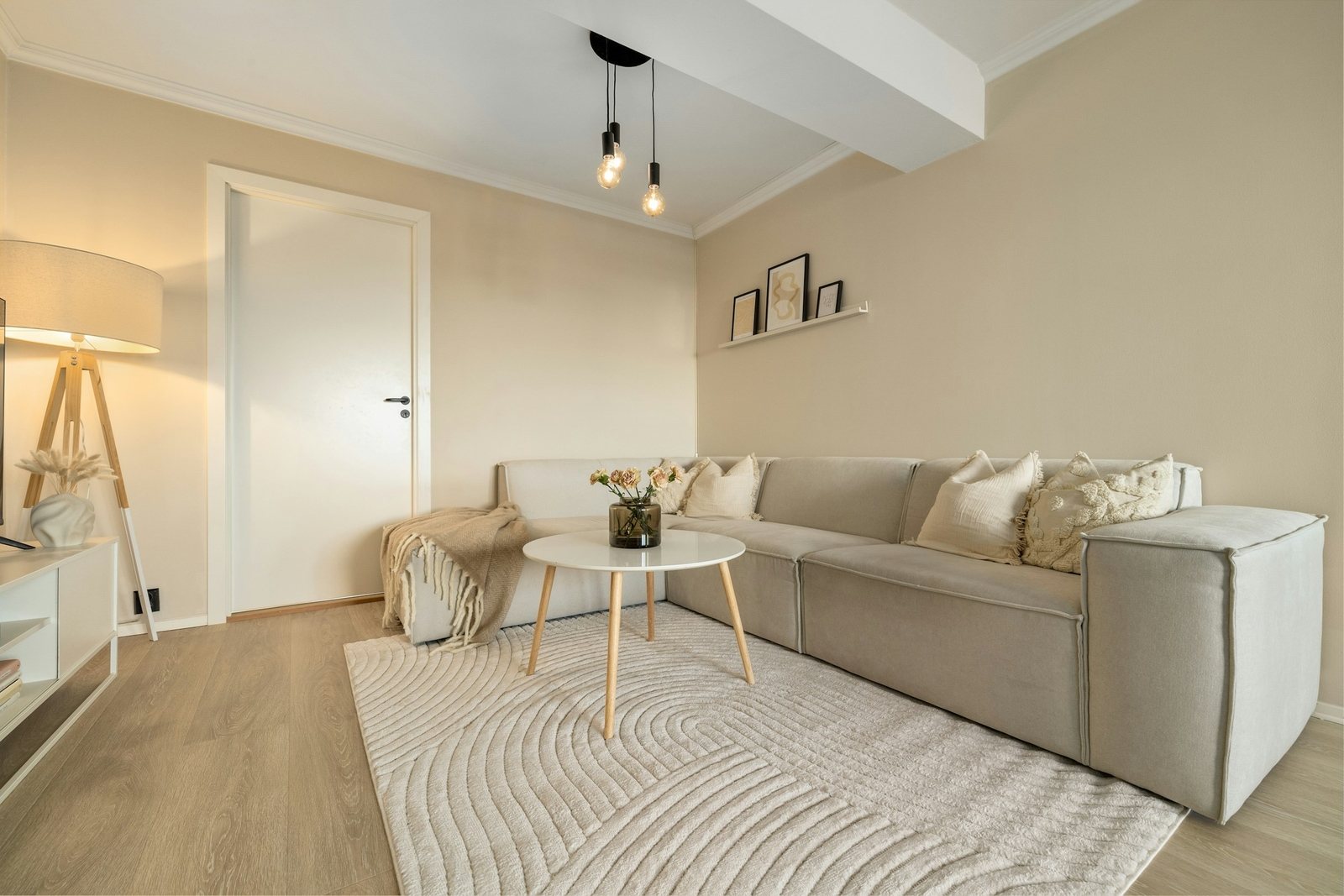 Living room with sofa and rug cleaned through