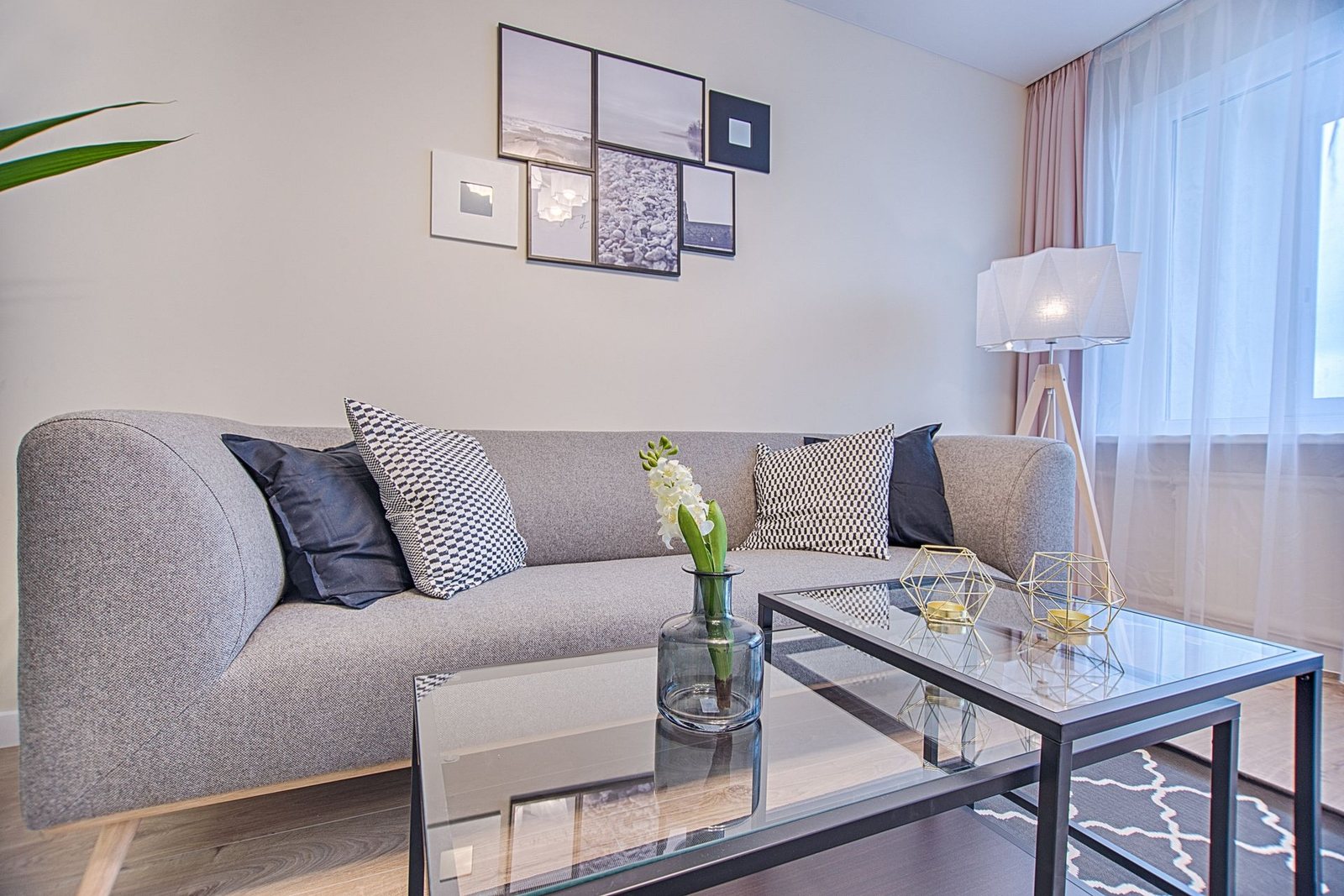 Open-plan lounge and kitchen cleaned end to end